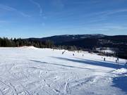 Easy slopes at the Thurnhof lifts