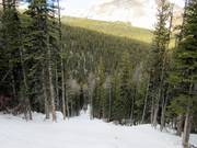 It gets steep heading down the Monster Glades.