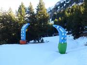 Tip for children  - Snowy Zones/Pandilla Snowy