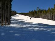 Lincoln Meadows downhill run