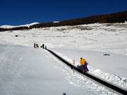 Magic Carpet in Sent