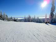 Easy and wide slope in the Sun Peaks ski resort