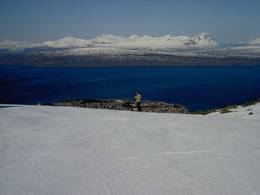 Narvikfjellet – Narvik