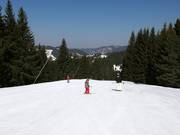 Easy slope 12 in the ski resort