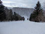 Intermediate slope Isola C