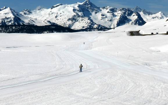 Cross-country skiing Central Pyrenees/Hautes-Pyrénées – Cross-country skiing Baqueira/Beret