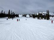 Easy and wide slope Barnbackarna