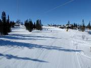 Easy slope Vesleseterbakken