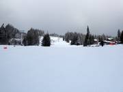 Aladar's Alley slope