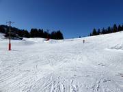 Easy slope Grafenherbergschuss