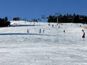 Easy slope Glocknerwiese