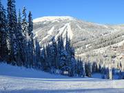 View from Mt. Morrisey to Top of the World