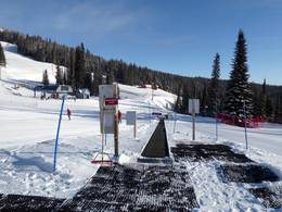 Adventure Centre Carpet