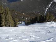 Wide and steep forest run