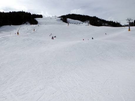 Slope preparation Region Seefeld – Tirols Hochplateau – Slope preparation Gschwandtkopf – Seefeld