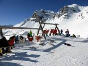 Chilling in the hammock at Steinböden