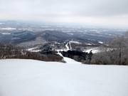 View from Mt. Sahoro over the ski area