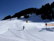 Very careful slope grooming in the children's area