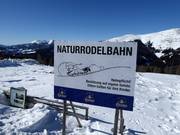 Tip for children  - Tobogganing