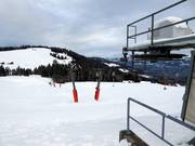 Weißtanne 2 - J-bar