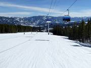 Downhill Take a Bough