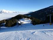 FIS standard downhill