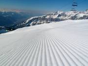 Very good slope grooming