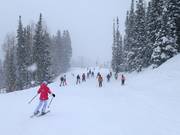 Slope to Red Pine Lodge