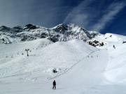 Off-piste powder slopes in front of the Ortler on the Des Alpes slopes at Langenstein