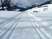 Trail in Hinterthiersee