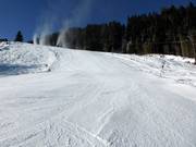 Challenging valley run Heimalm-Rauris
