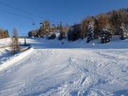 Slope at the Planai mid-station
