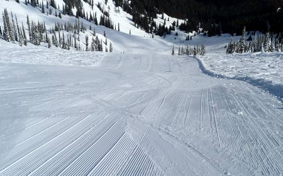 Slope preparation Lizard Range – Slope preparation Fernie