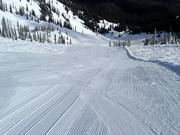 Groomed slope into the Cedar Bowl
