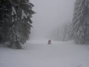 Forest run at Wurmberg