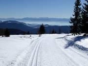 Trail on the Hochrindl