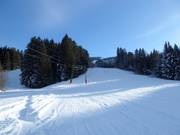 Reutele downhill run