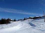 Cross-country trails in Hafjell