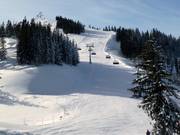 Reiterkogel East Run