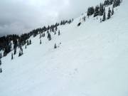 Wide powder slopes in Revelstoke Mountain Resort