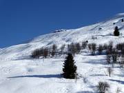 View of the challenging Carlo Janka slope with deep powder runs
