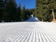 Very well-groomed slopes in Špičák