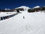 Sunny Mountain Adventure Park