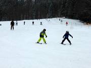 Easy slopes at the Muli 1 rope lift