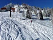 Powder snow beneath the Strassalmbahn