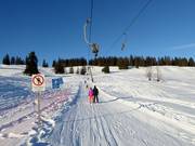 Stroblerlift - T-bar