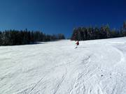 Intermediate slope at the Kleiner Almberglift