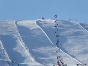 Slope Maaliman Cup (No. 25)