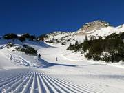 Very well-groomed slopes