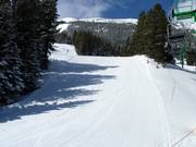 Jackelope downhill run